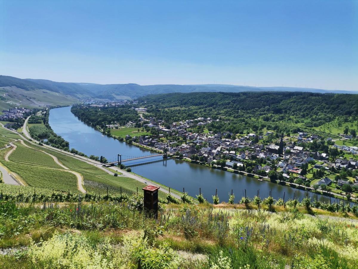Sonnenufer Apartment & Moselwein I Verbandsgemeinde Verbandsgemeinde Bernkastel-Kues Buitenkant foto